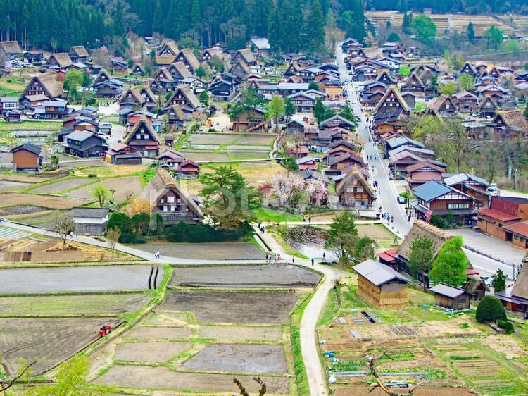 白川郷 白川郷,白川村,合掌造の写真素材