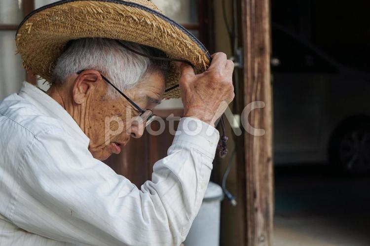 ガーデニングをする高齢男性 作業,高齢者,活動の写真素材