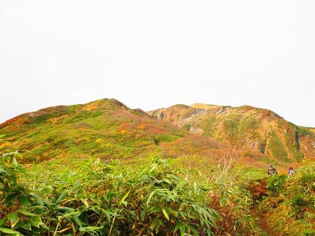 紅葉(越後三山・越後駒ヶ岳) 紅葉(越後三山・越後駒ヶ岳)の写真