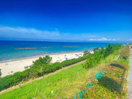 夏の海 夏の海の写真