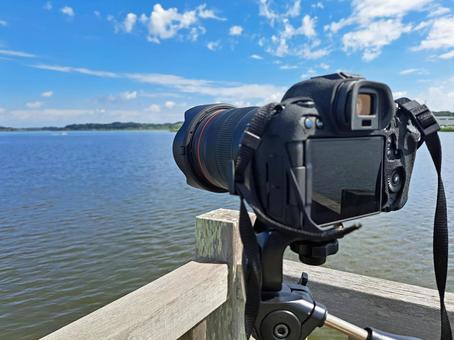 三脚を使用した写真撮影 カメラ,写真,三脚の写真素材