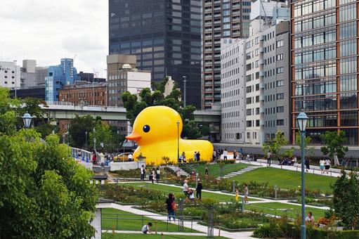 難波橋より中之島公園の風景 難波橋より中之島公園の風景の写真