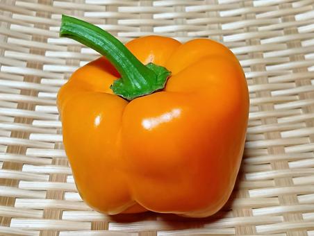 パプリカの写真