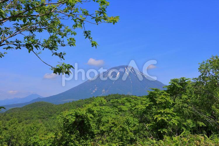 6月の羊蹄山(留寿都村・山中から) 羊蹄山,留寿都村,ニセコの写真素材