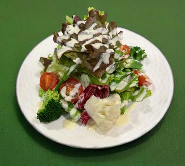 グリーンサラダ グリーンサラダ,サラダ,サニーレタスの写真素材