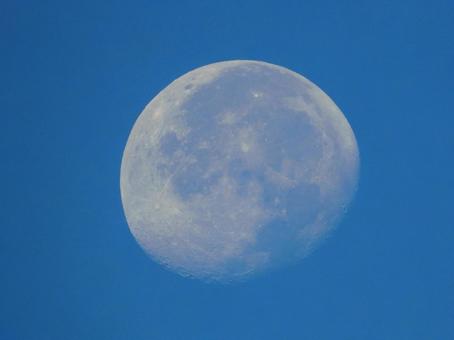 晴れた夏の朝の月 晴れた夏の朝の月 月,衛星,満月の写真素材