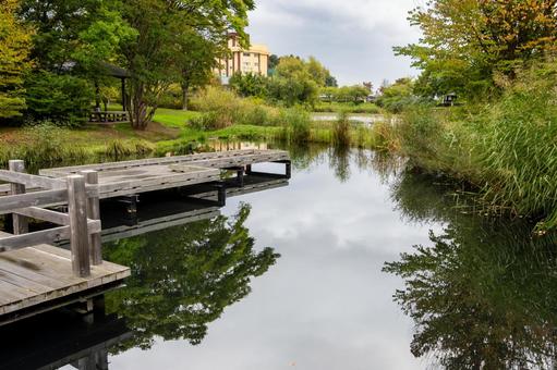 天沼公園の風景⑷ 天沼公園の風景⑷の写真