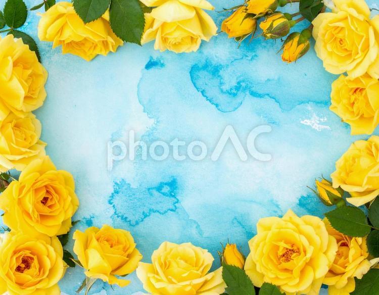 水色の水彩画風背景に黄色いバラのフレーム 父の日,薔薇,バラの写真素材