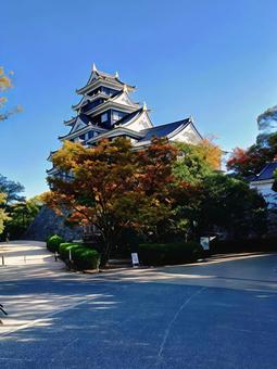 岡山城 背景,素材,空の写真素材