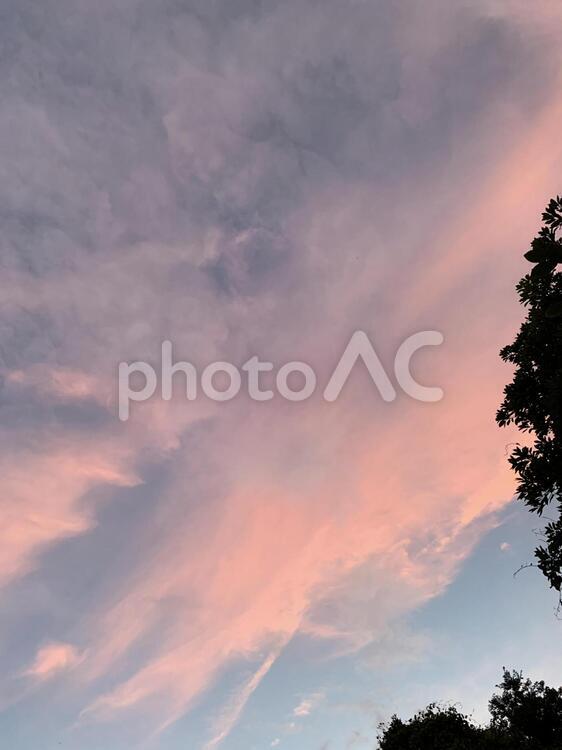 初夏の夕暮れ時 夕方,自然,太陽の写真素材