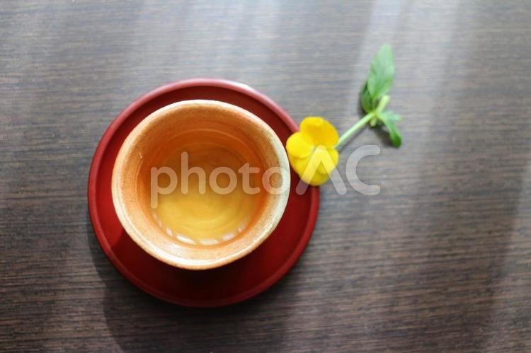 カーテンの日差しの中で飲む煎茶 煎茶,お茶,湯飲み茶わんの写真素材
