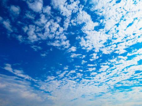 青空に浮かぶうろこ雲 青空に浮かぶうろこ雲の写真