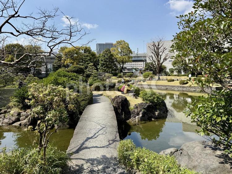 春の墨田区立旧安田庭園 春,潮入の池,隅田川の写真素材