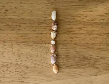 貝殻　アルファベット　I　 i,アルファベット,アイの写真素材