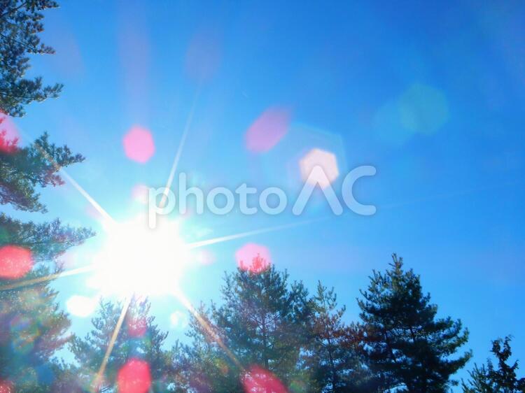 信州キビオ峠から見た空と木と太陽 空,風景,木の写真素材