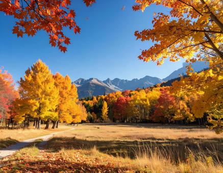 紅葉が広がる秋の自然風景 紅葉が広がる秋の自然風景の写真