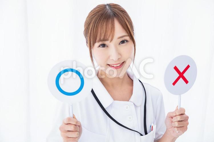 マルバツのプレートを持つ看護師 看護師,女性,女性看護師の写真素材