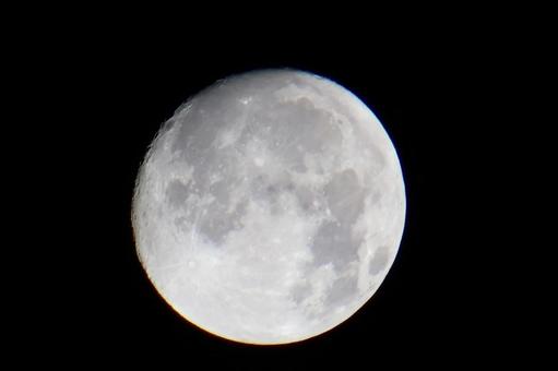 十五夜前夜の月 十五夜前夜の月 月,moon,月齢14の写真素材