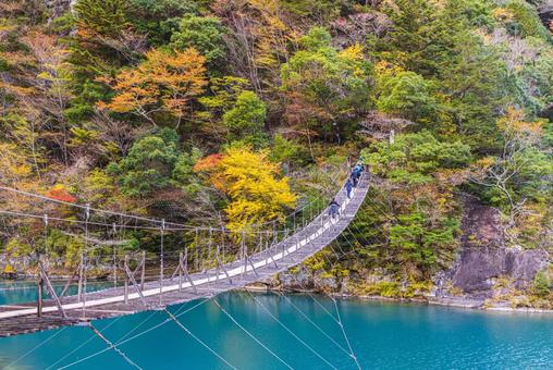 静岡県　寸又峡の夢の吊橋・秋景色 寸又峡,紅葉,風景の写真素材
