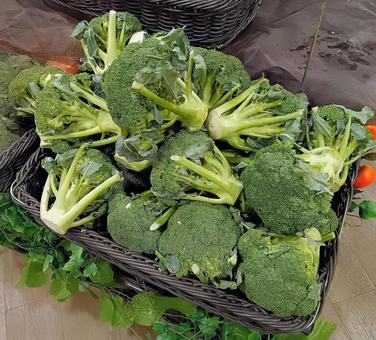 篭に盛ったブロッコリー 植物,緑黄色野菜,ブロッコリーの写真素材