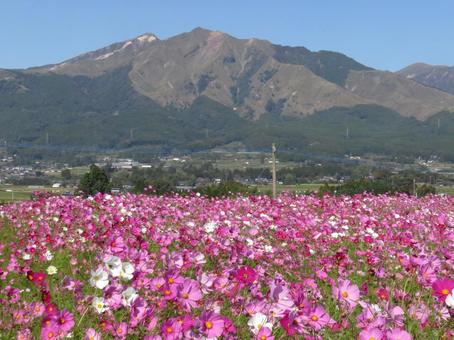南阿蘇 あそ望の里久木野,南阿蘇,阿蘇五岳の写真素材