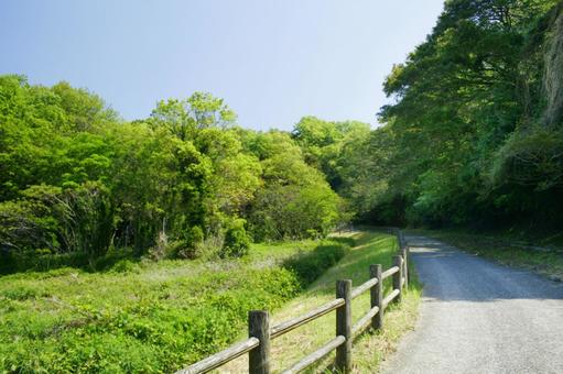 Photo, mountain path, hiking, the trees, 