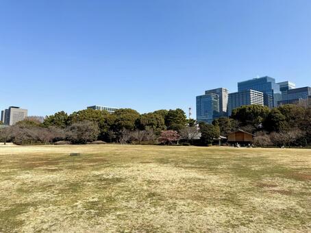 冬の二の丸庭園　江戸城跡 オフィス街,二の丸庭園,江戸城跡の写真素材