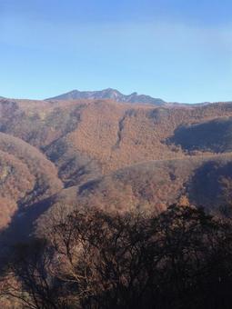 秋山の紅葉と青空 秋山の紅葉と青空の写真