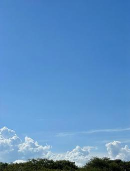 夏の宿 夏の宿の写真