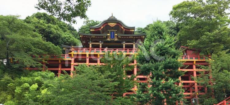 祐徳稲荷神社・御本殿1 お稲荷さん,観光地,神社の写真素材