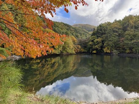 晩秋の大沢の堤の紅葉 大沢の堤,信州,松本市の写真素材