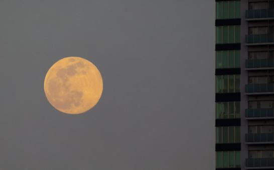 ビル横の満月 ビル,満月,夜空の写真素材
