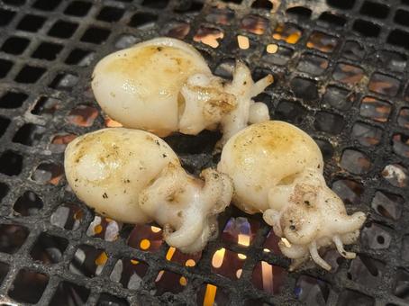 Grilled squid, JPG