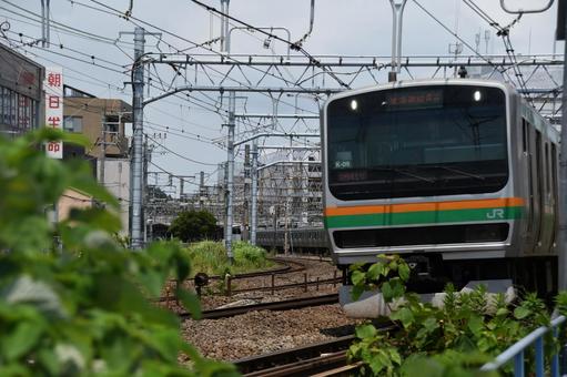 東海道線 鎌倉(電貨)踏切 東海道線 鎌倉(電貨)踏切の写真