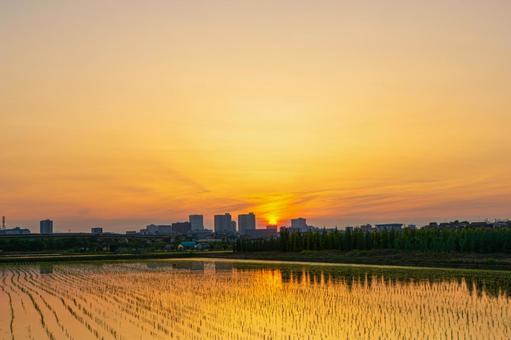 オレンジ色に包まれたさいたま新都心 オレンジ色に包まれたさいたま新都心 夕焼け,ゴールデンアワー,マジックアワーの写真素材