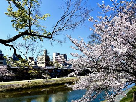 京都 京都の写真