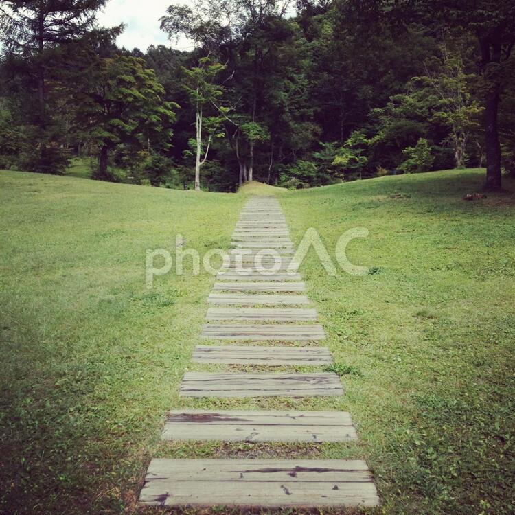 道 - No: 1296613｜写真素材なら「写真AC」無料（フリー）ダウンロードOK