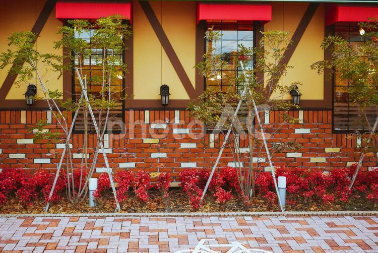 町並み　建物　明るい 町並み,建物,風景の写真素材