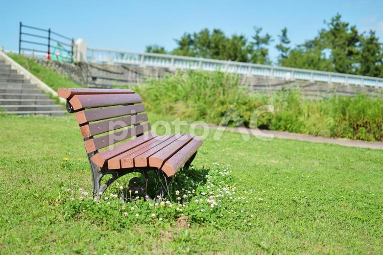 風景　夏の公園のベンチと芝生 風景,夏,ベンチの写真素材