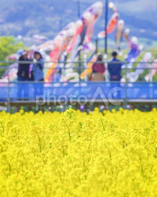 栃木県那須町　ハートフルファームの春 栃木県,那須町,スポットの写真素材