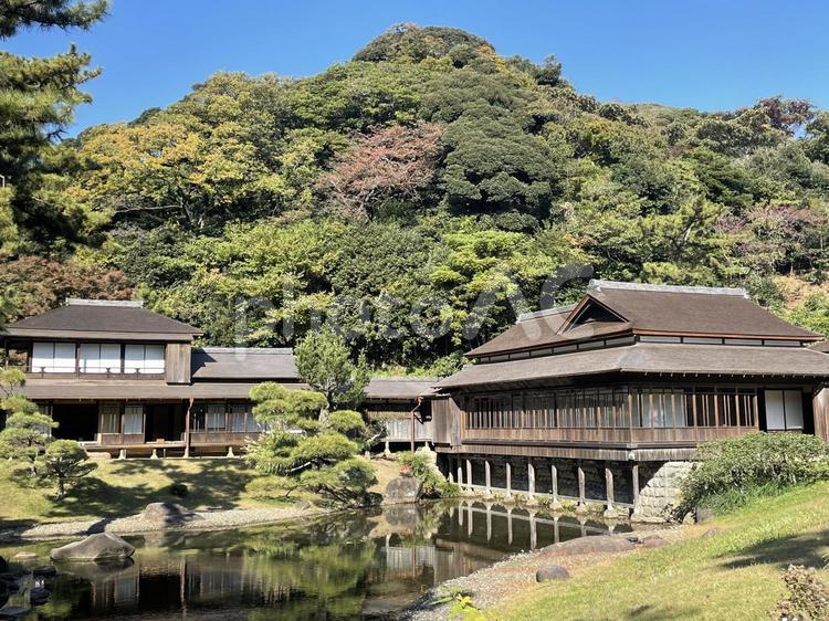 三渓園 日本庭園,三渓園,横浜の写真素材