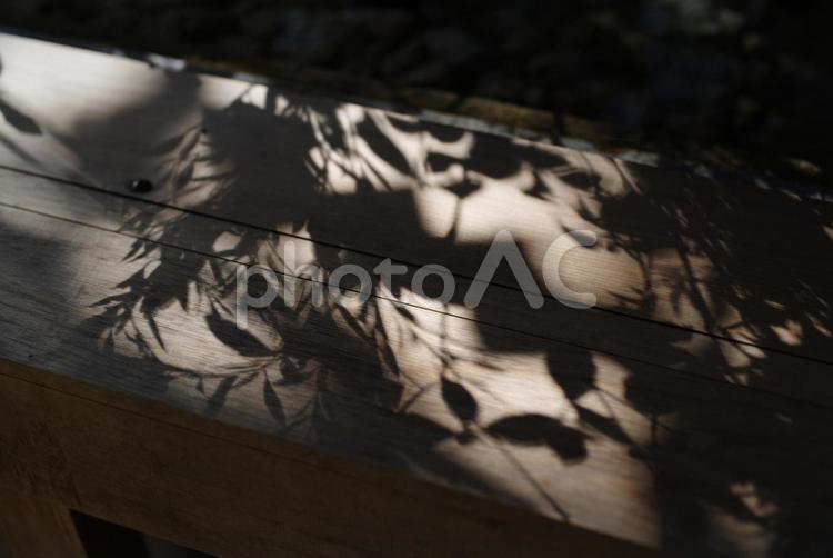 東京赤坂にある氷川神社の境内 境内,日本,杜の写真素材