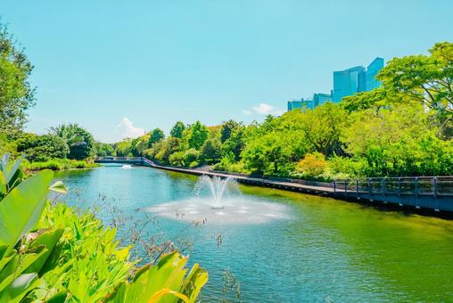 【シンガポール】ガーデンズバイザベイ シンガポール,植物園,ベイフロントの写真素材