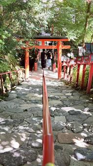 連なる鳥居の先へ 貴船神社,鳥居,階段の写真素材