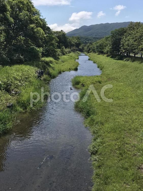 田舎　川のある景色 自然,田舎,癒しの写真素材