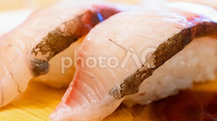 シマアジのにぎり寿司 シマアジ,にぎり寿司,寿司の写真素材