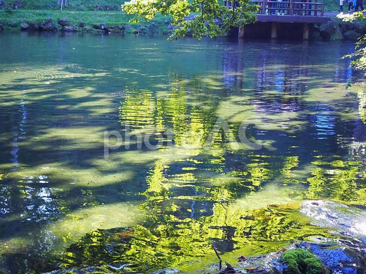 湖の美しい風景 泉,湖,水の写真素材