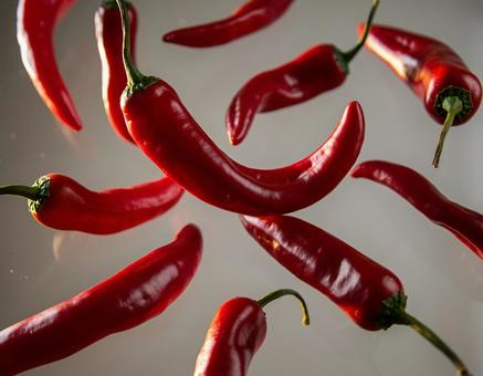 唐辛子　たくさん 唐辛子,鷹の爪,飛び散るの写真素材