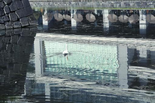 水面に映る近代的なビル 水面,反射,映り込みの写真素材