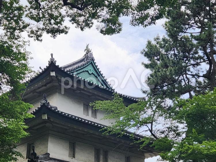皇居外苑　江戸城跡 皇居外苑,江戸城跡,富士見櫓の写真素材
